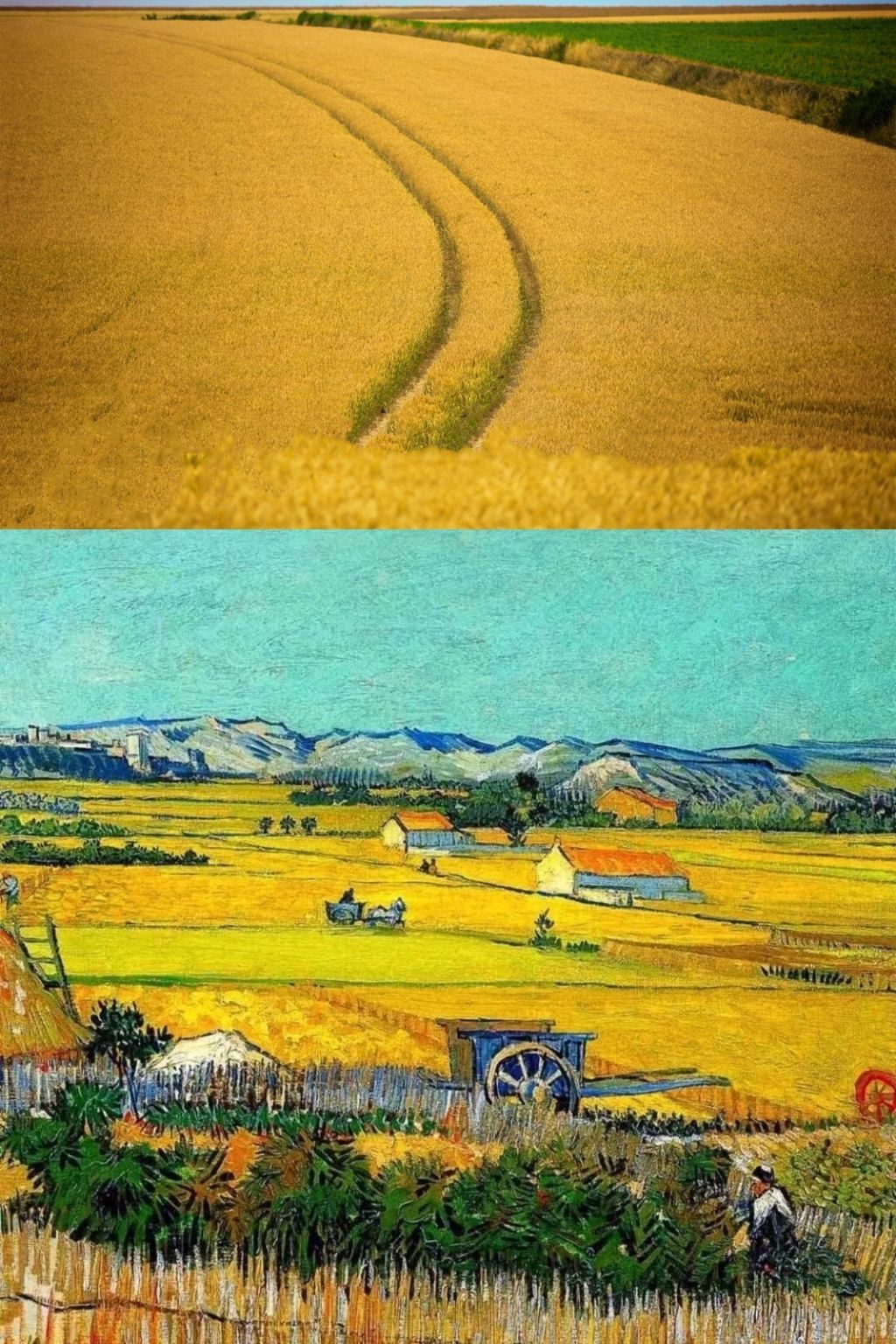 Ye 