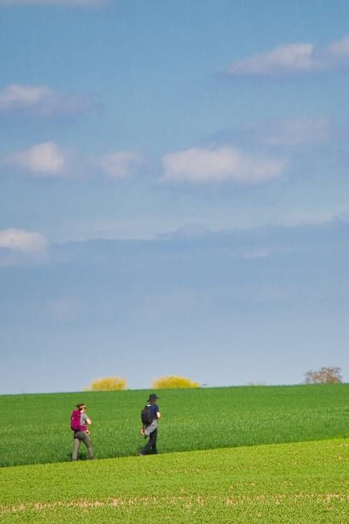 Ruihua Li